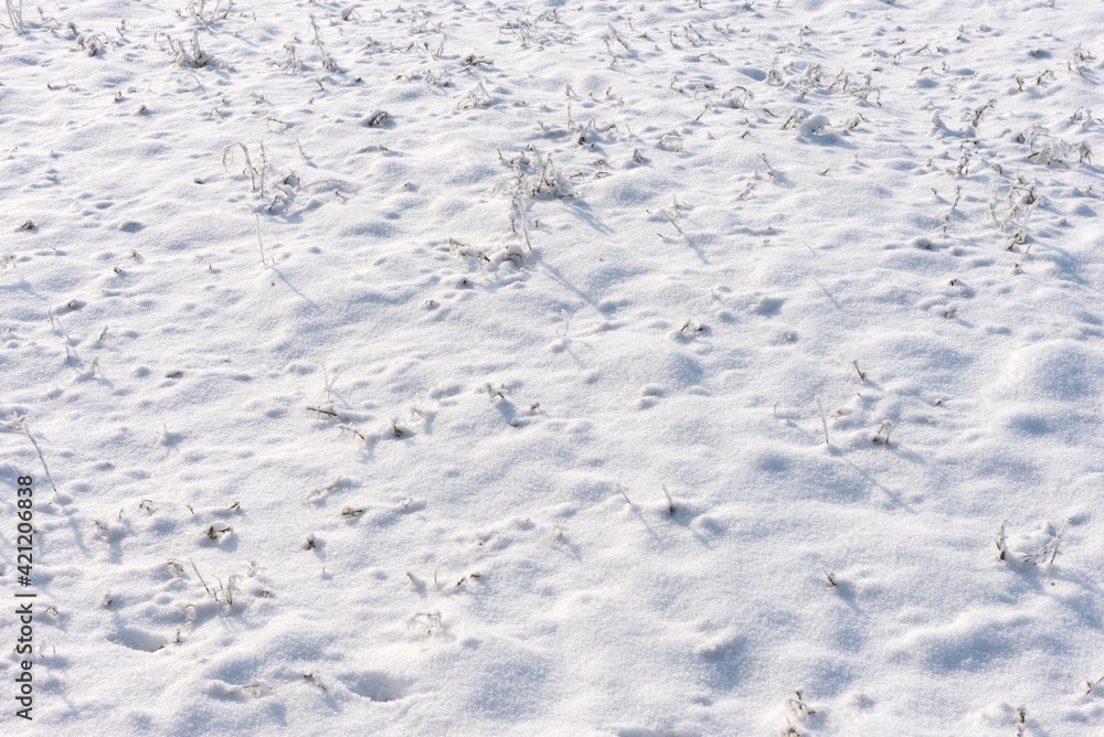 snow texture on grass field
