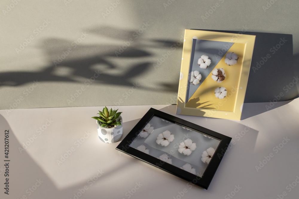 Dark flat lay. Black and yellow frames with cotton flowers photos and small flower pot near on a textured white paper background. Natural light casts a shadow from the plants. Dark flat lay. Black and yellow frames with cotton flowers photos and small flower pot near on a textured white paper background. Natural light casts a shadow from the plants.