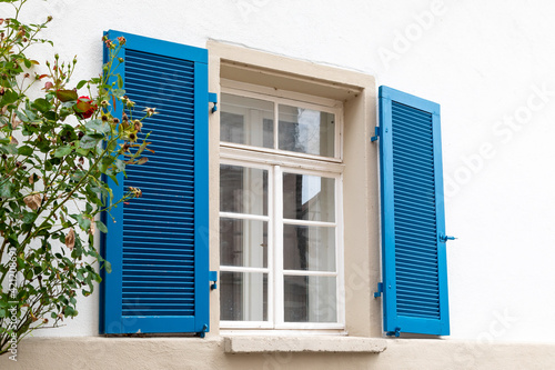 Window with white wooden frames  blue shutters and a rose bush. Image of trendy decor  comfort  beautification