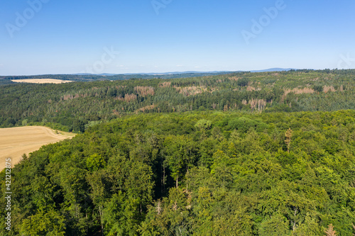 Bird's eye view of the partially destroyed forest in the Taunus / Germany in summer 