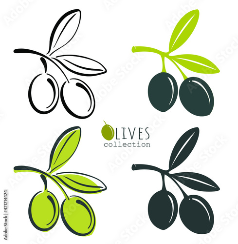 Set of branches with green and black olives. Illustration of olives. Vector olives. Contour, silhouette of olives.