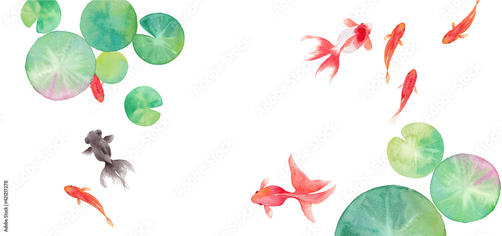 金魚と睡蓮の葉で構成した夏のバナー背景。水彩イラストのトレースベクター。レイアウト変更可能。 金魚と睡蓮の葉で構成した夏のバナー背景。水彩イラストのトレースベクター。レイアウト変更可能。