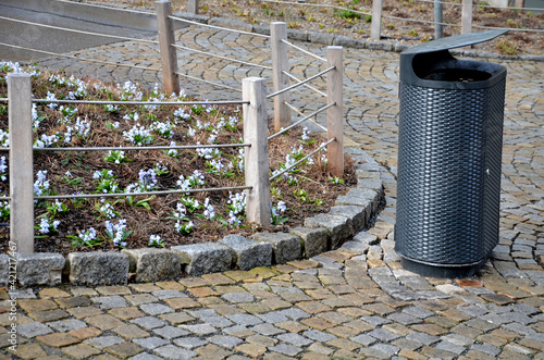 in march in the park bloom in flowerbeds behind a low protective fence of ropes and wooden posts of cinnamon in the mulch bark of white flowers in dense covers. benches and granite pavement photo