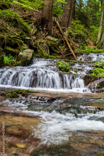 Mountain stream with small cascades and trees around