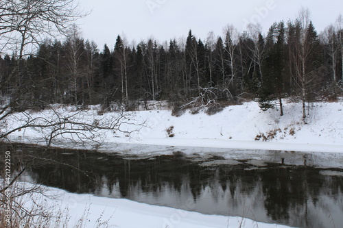 river and trees in the snow