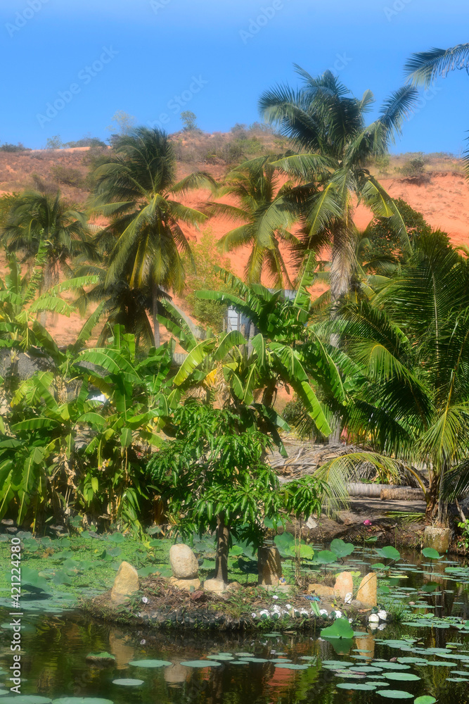 Palm trees against the blue sky. Rainforest landscapes