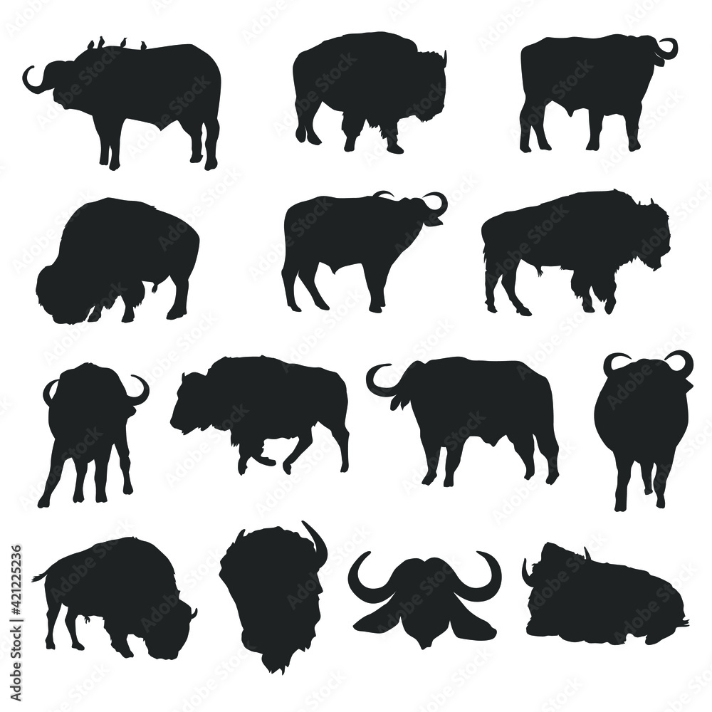 Fototapeta premium Bison and Buffalo clip art Illustration Vector. Wild Life Animals Design Silhouette.