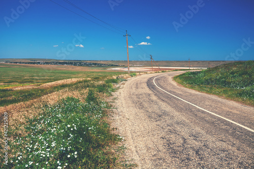 Country asphalt road in the steppe on a sunny summer day