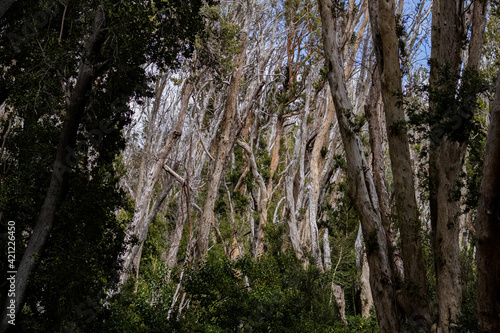 Bariloche, Patagonia