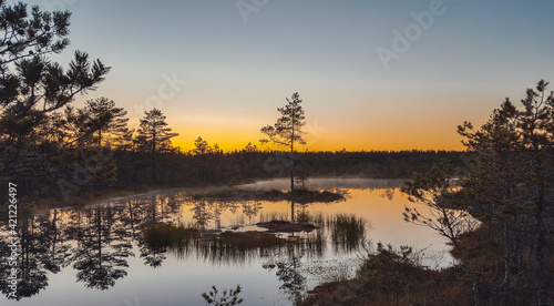 Viru bog in Estonia