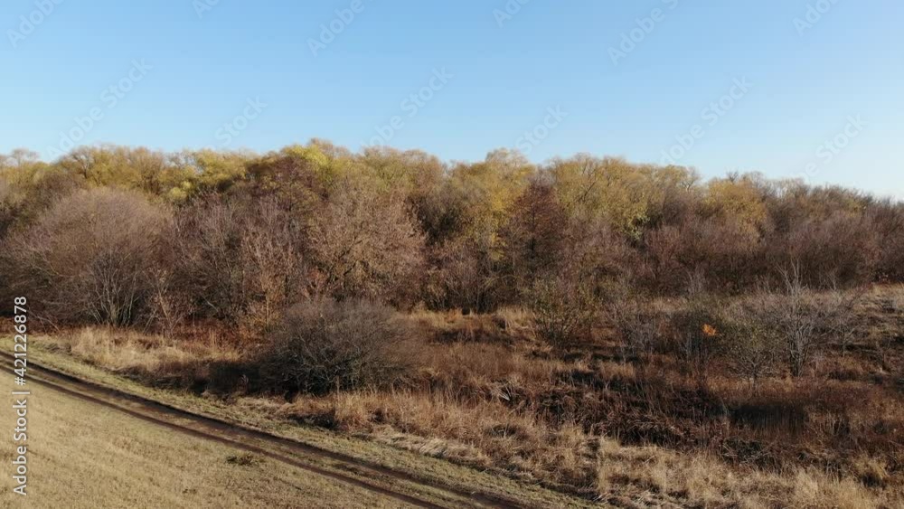 The edge of an autumn forest without leaves. Taken from a drone. Russia The edge of an autumn forest without leaves. Taken from a drone. Russia