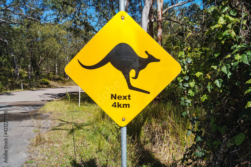 kangaroo signal in Australia, Morisset