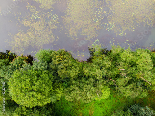 Beautiful aerial forest scene in summer. Green trees and river on summer day. City park scenery in Vilnius  Lithuania.