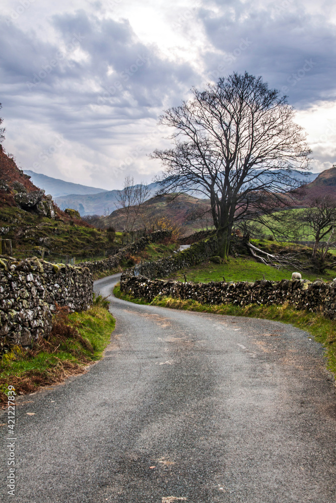dramatic autumn landscape image taken in Lake District , Cumbria dramatic autumn landscape image taken in Lake District , Cumbria