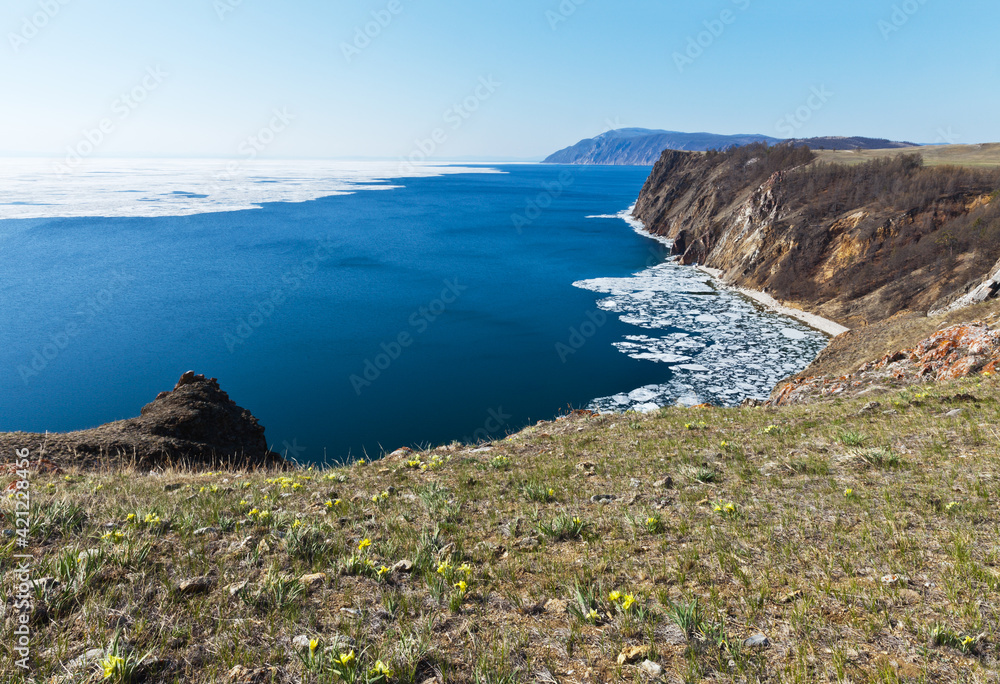 Spring landscape of Siberian Baikal Lake with melting white ice floes on blue water and blooming wild yellow irises on the sunny slope of Olkhon Island in May day. Natural spring background