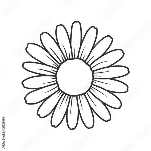 Flat daisy vector Beautiful white flowers leave space to add text. Isolated on white background.