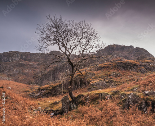 dramatic autumn  landscape image taken in Lake District , Cumbria © Nathaniel Gonzales