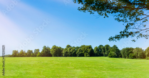 Tableau sur toile Fresh air and beautiful natural landscape of meadow with green tree  in the sunn
