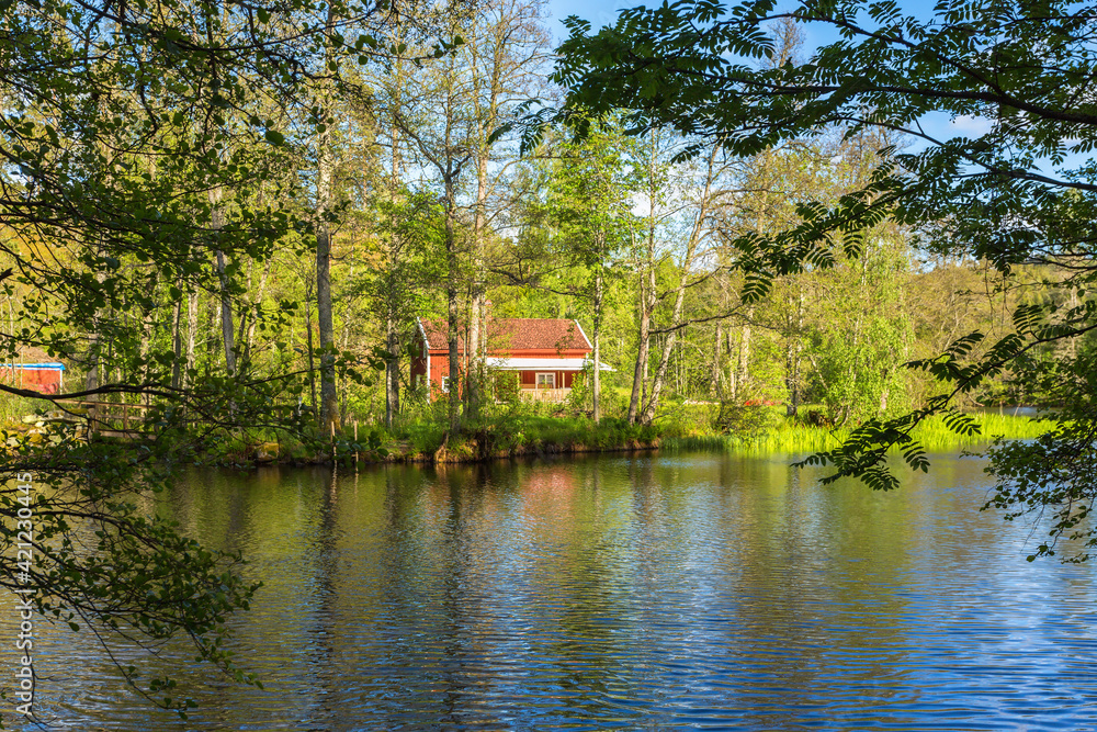 Cottage by the river in the forest