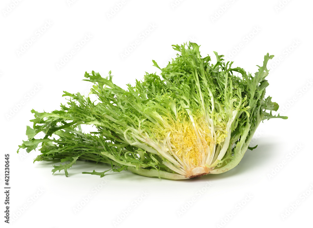 escarole endive isolated on a white background escarole endive isolated on a white background
