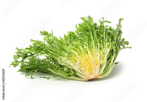 Fotografija escarole endive isolated on a white background