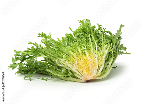 escarole endive isolated on a white background