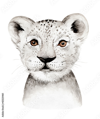 Photography Africa watercolor savanna lion, animal illustration