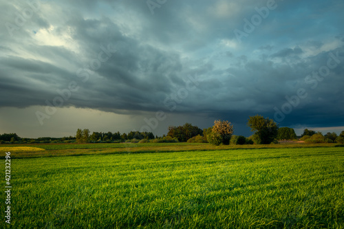 Storm cloud over the green field