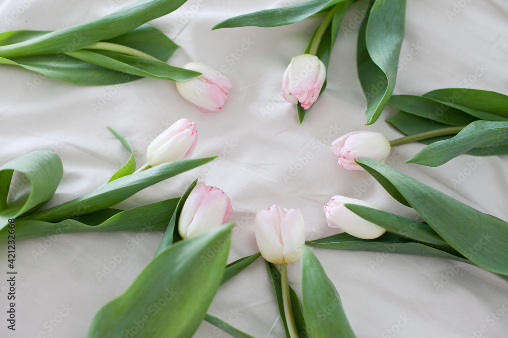 bouquet of pink tulips on the beige fabric background arranged in circle shape bouquet of pink tulips on the beige fabric background arranged in circle shape