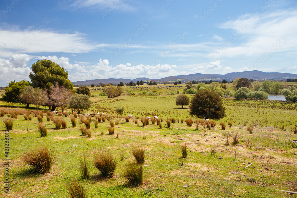Lancefield Rural Landscape in Australia