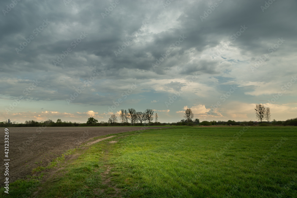 Green meadow and dark clouds on the sky Green meadow and dark clouds on the sky