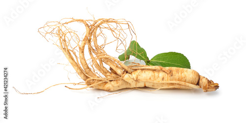 Fresh ginseng slices on white background.