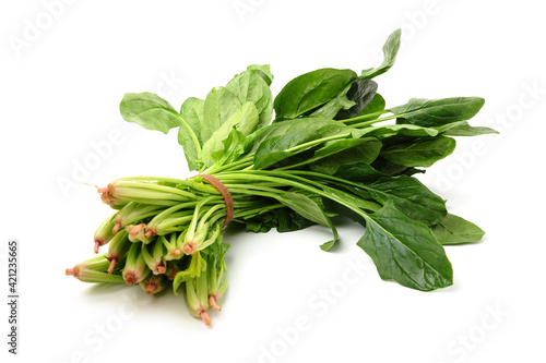 spinach leaf on white background.