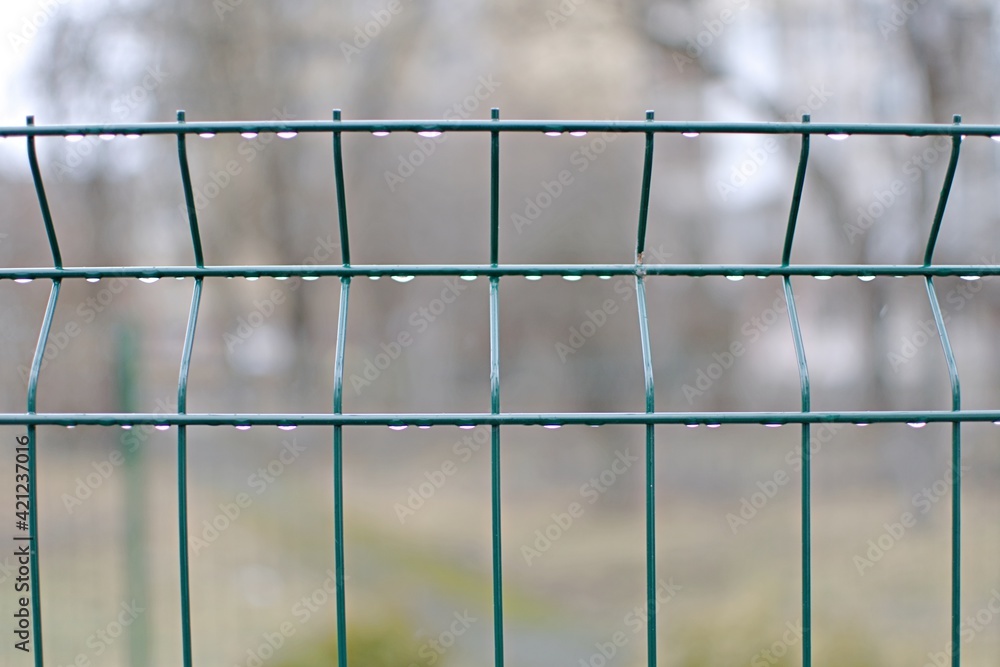 green metal wire fence with hanging raindrops on blurred background green metal wire fence with hanging raindrops on blurred background