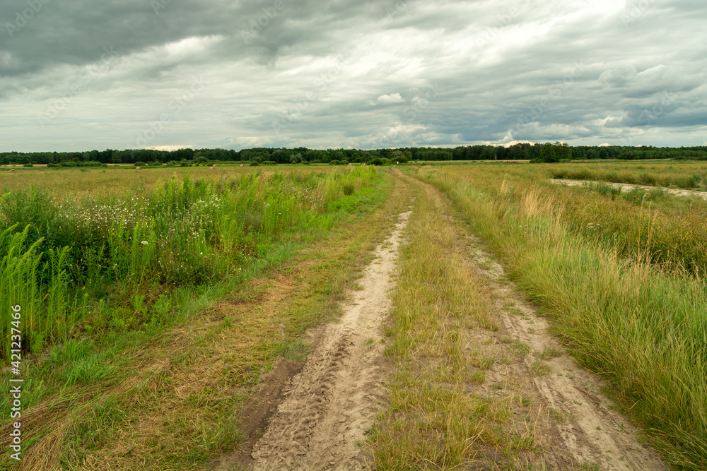 Country road through meadows and cloudy sky