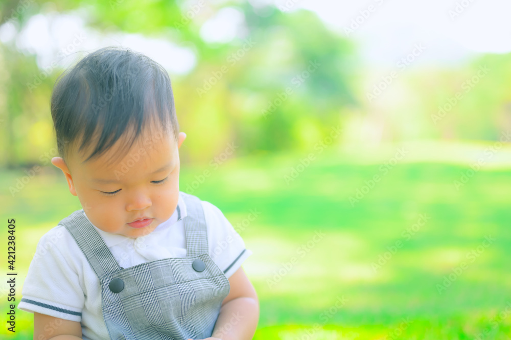 Portrait of a happy little boy in the park,Little boy in grass field Portrait of a happy little boy in the park,Little boy in grass field