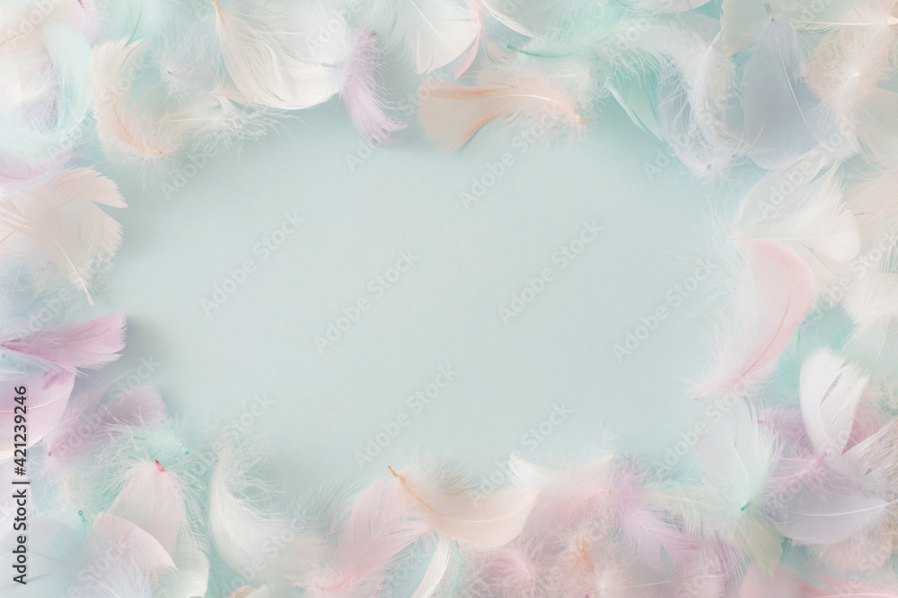 Colorful feathers on pastel blue background. Flat lay, top view, copy space Colorful feathers on pastel blue background. Flat lay, top view, copy space