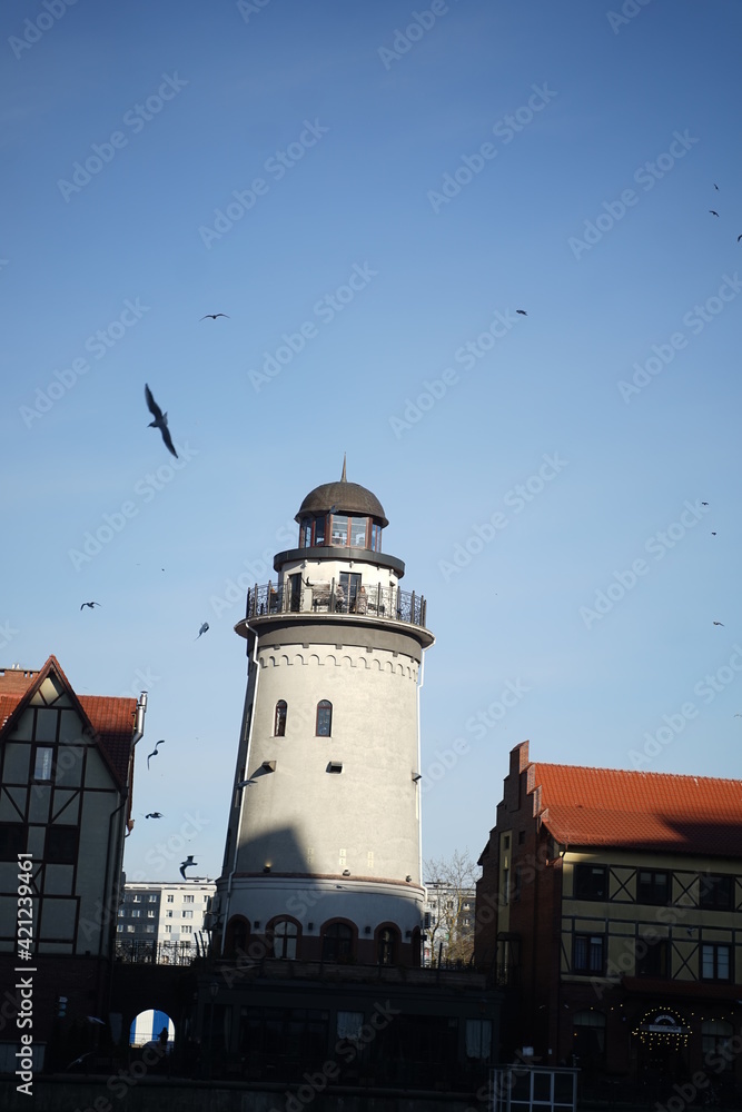 a flock of birds flies around the old lighthouse