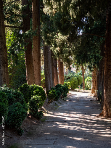 romantic path in the park near Alhambra, Granada, Spain