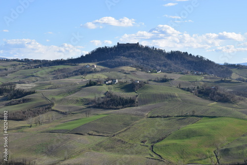 Panorama oltrepò pavese con castello di Montalto Pavese © lk_photo