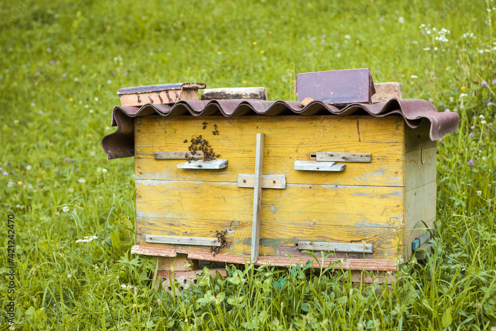 Beehive with bees in a honey farm Beehive with bees in a honey farm