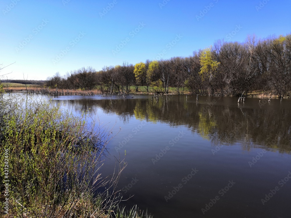 reflection in the water