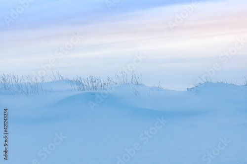 Scenic minimal view of tundra, dramatic blue sky and white snow. Morning arctic simple winter landscape in Murmansk region of Russia