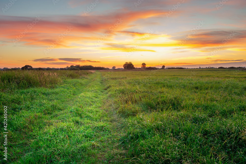 A grassy road through a meadow and colorful clouds during sunset
