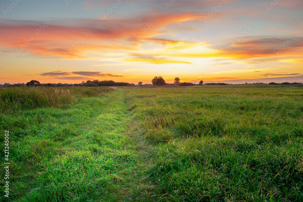 A grassy road through a meadow and colorful clouds during sunset A grassy road through a meadow and colorful clouds during sunset