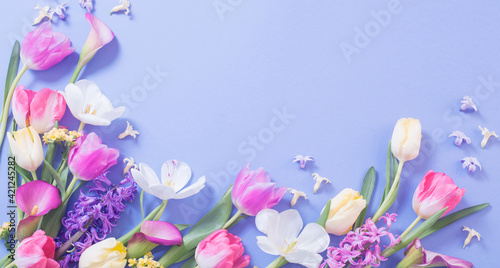 multicolored spring flowers on  blue  background © Maya Kruchancova