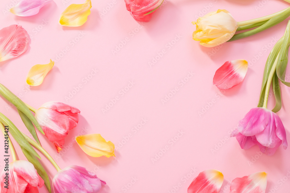 spring flowers on pink background spring flowers on pink background