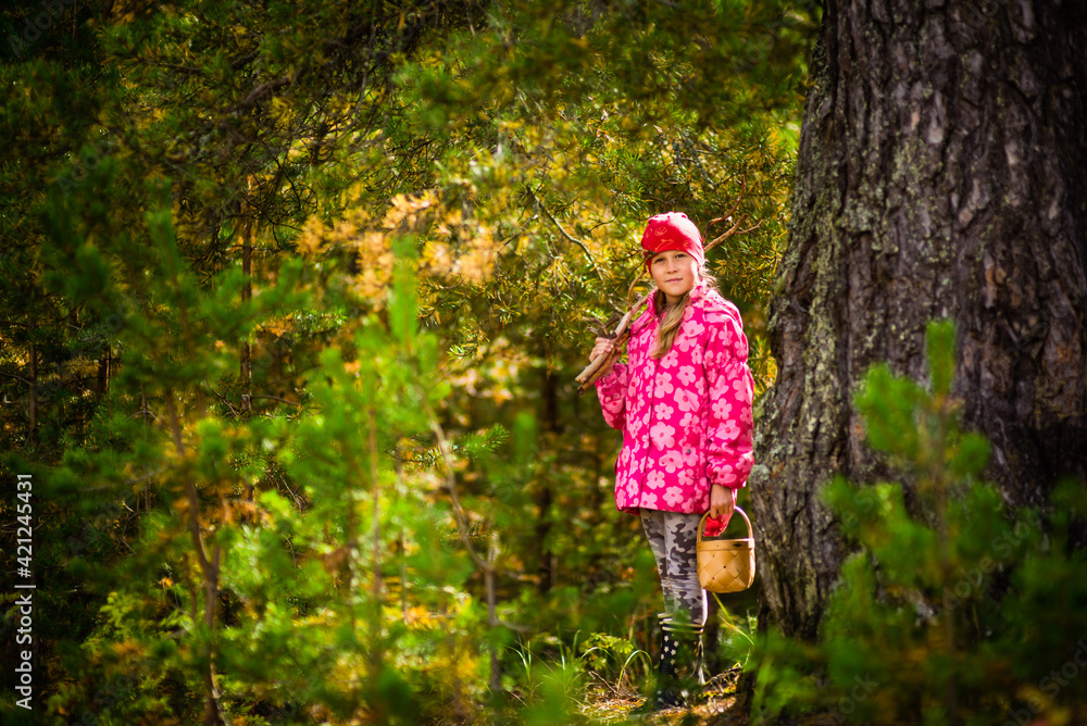 a girl in a pink jacket in a pine forest, selective focus 