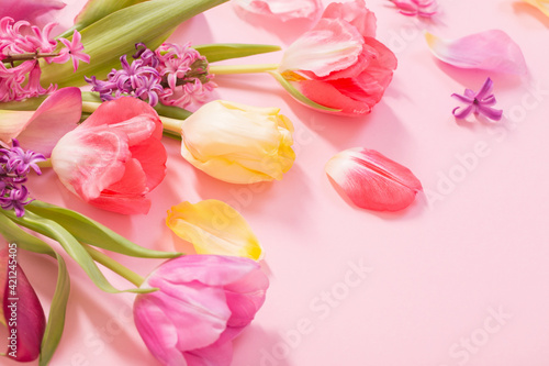 Fototapeta Naklejka Na Ścianę i Meble -  spring flowers on pink background