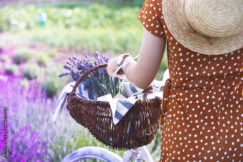 Provence - girl at the lavender field